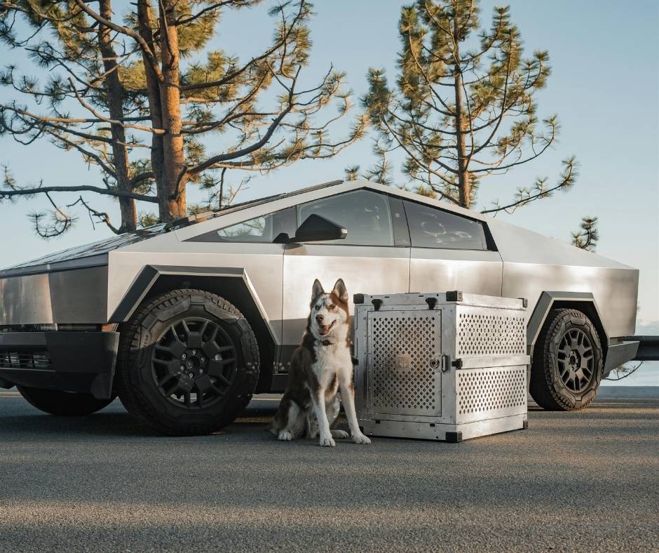 Tesla Cybertruck Insurance